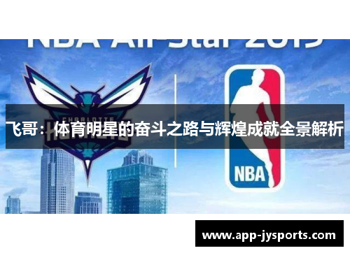 飞哥：体育明星的奋斗之路与辉煌成就全景解析